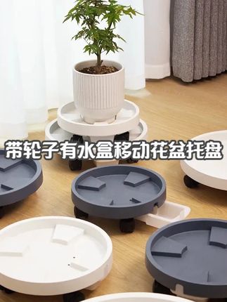 钢化花盆底座带轮子加深加厚移动花盆托盘结实耐用绿植盆栽 #好物推荐🔥 #家居生活 #种草 #移动花盆托盘 #超好看的美甲