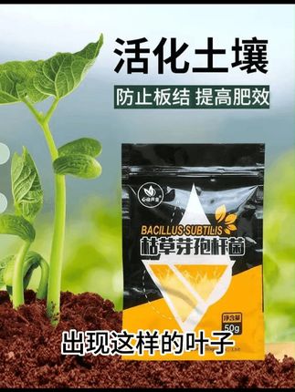 【枯草芽孢杆菌】微生物菌剂预防改量土壤促进壮根益菌生长营养 #枯草芽孢杆菌 #微生物菌剂 #菌剂 #益菌 #土壤营养