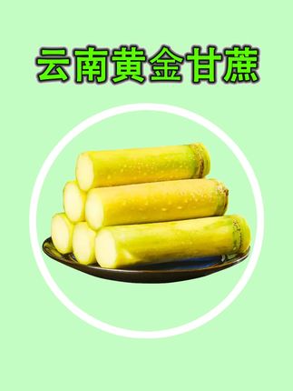 渣软味甜的黄金甘蔗,一年一季的甘蔗来了、快来尝尝吧! #口感特别好 #脆甜多汁 #黄金脆皮甘蔗 #甘蔗