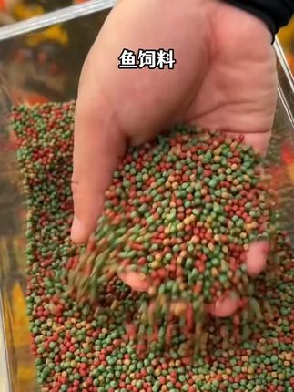 综合锦鲤通用饲料鱼食鱼粮上浮不浑水高蛋白渔场专用鱼饲料#饲料 #鱼食 #鱼粮 #鱼饲料 #饲料鱼