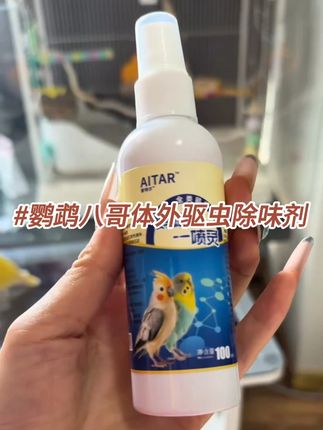 鹦鹉驱虫怎么做! 所有鹦鹉都这样做#鹦鹉日常#养鸟经验分享#手养鹦鹉#鹦鹉小白#手养鸟4