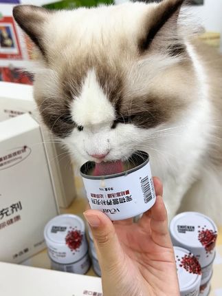 喂对磷虾油!VCare让猫咪少掉毛、更活泼#VCare #VCare磷虾油 #养宠必备 #猫咪爆毛 #新手养猫