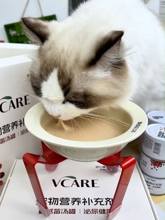 #萌宠好物 #科学养宠攻略 #记录猫咪日常 #VCare #VCare蔓越莓汤罐