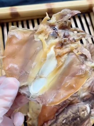 芬姐好物推荐【12-18头】墨鱼干头北海 海鲜干货目鱼干煲汤炖煮炒菜#墨鱼干 #北海海鲜干货 #煲汤食材 #炒菜食材 #芬姐好物