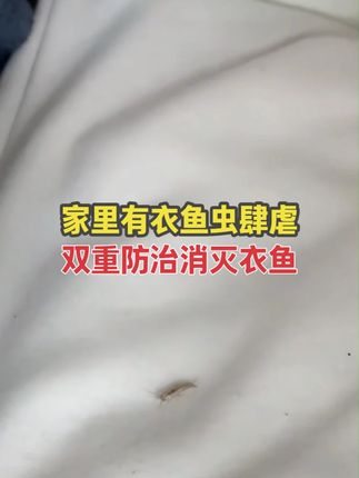 杀虫套装还能这样用?双重防治让家更安全! #衣鱼虫 #衣鱼防治 #灭虫小妙招 #好物推荐