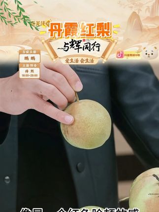 丹霞红梨新鲜采摘脆甜多汁皮薄核小甘甜香酥爽口4.5/8斤 #丹霞红梨 #采摘 #脆甜多汁 #皮薄核小 #好物推荐 @DOU+小助手 @DOU+上热门