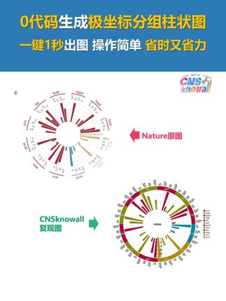 0代码一键生成nature极坐标分组柱状图,1秒即可出图 治愈论文党配图焦虑症的一剂良药!30秒0代码绘制nature极坐标分组柱状图绘制全流程,看完视频包你学会,跟着CNSknowall学做nature级数据图,让论文配图效率极限提升,实现数据多维度展示,不仅省时省力省钱,而且使给论文增光添彩,正在写论文的小伙伴都来学着做做吧! #科研 #数据可视化 #论文 #研究生 #sci