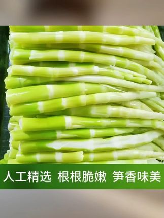 皖南绿竹笋新鲜嫩笋尖/正宗小水笋优选高山春笋炒肉凉拌酒店火锅