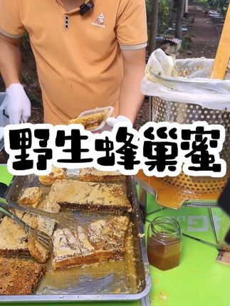 【秦岭野生蜂巢蜜】农家正宗天然木桶新鲜蜂巢中蜂采集五倍子土蜂 #土蜂蜜 #家乡特产 #秦岭野生蜂巢蜜 #正宗天然木桶 #新鲜蜂巢