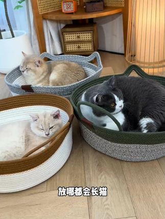 【夏季四季通用】舒适棉麻猫窝夏季猫窝大号超萌窝推荐舒适通用猫窝#猫窝 #棉麻猫窝 #夏季猫窝 #四季通用猫窝 #可爱猫窝