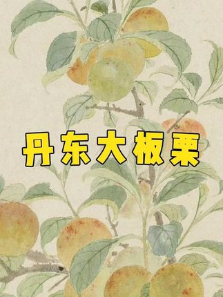 正宗丹东大板栗 #新鲜板栗 #板栗 粉面香甜 #好吃不贵经济实惠