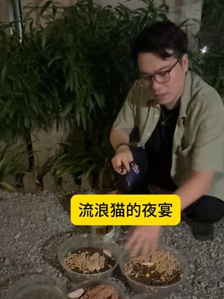 #流浪猫 #猫咪 #鲣鱼条 #救助流浪动物 #救助人