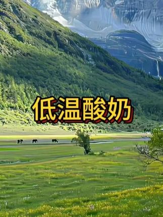 雪宝零蔗糖酸奶,拌水果或者麦片好吃又低卡#零蔗糖酸奶 #雪宝