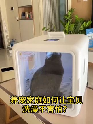毛孩子洗澡吹毛不害怕的秘诀 #宠智迪烘干箱 #猫咪烘干箱 #萌宠好物