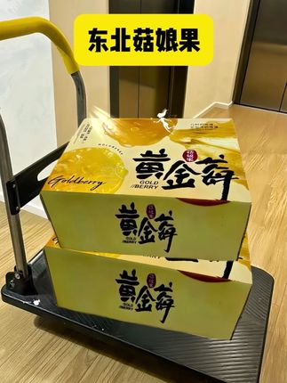 是谁还没有收到 男朋友送的一年就这一季的!东北姑娘果#应季水果 #菇娘果 #爱了爱了 #惊喜跟礼物都是来自爱你的人 #仪式感
