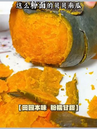 产地直发 真贝贝小南瓜主食代餐老瓜宝宝辅食粉面贝贝南瓜板栗味