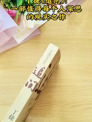 丁捷《追问》:一部值得每个人深思的现实之作 #好书推荐 #历史故事