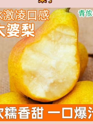 青侬侬山东烟台太婆梨软糯香甜大头梨子新鲜水果香蕉青啤梨3-9斤#水果 #新鲜应季水果 #梨子 #现摘现发新鲜到家