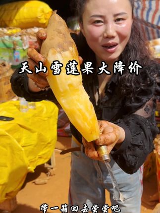 2025年天山雪莲果新鲜上市啦 喜欢吃的赶紧来尝尝鲜吧!#雪莲果成熟了#脆甜多汁#现挖现发#低糖低脂低热量#优质农产品