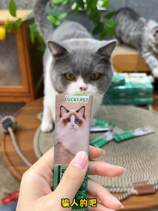 给我家猫猫选的猫条#萌宠好物 #萌宠出道计划 #养猫新手 #猫条