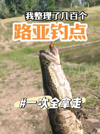 钓点那么难要吗?问个钓点扭扭捏捏的 天津路亚钓点分享#微物路亚 #钓点分享 #北京路亚 #天津路亚