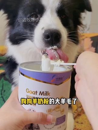 #宠物羊奶粉 #猫咪奶粉 #狗狗奶粉 #幼犬奶粉 #好物推荐🔥 中博特宠物羊奶粉猫咪狗狗专用新生成年幼猫幼犬孕乳期营养补充