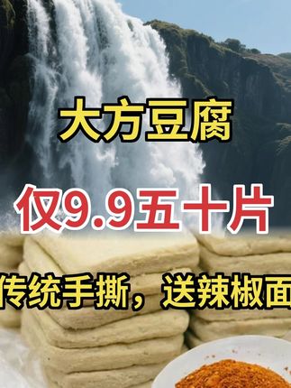 贵州大方手撕豆干超实惠!9块9得50片还送辣椒面 #美味豆干 #超值特惠 #地方美食