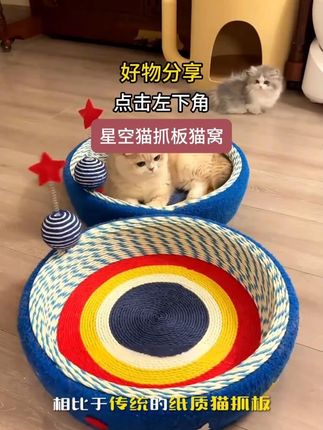 小猫就喜欢睡这种盆装的猫窝,睡在里面安全感满满#新手养猫#猫抓板#猫窝#猫抓板窝c