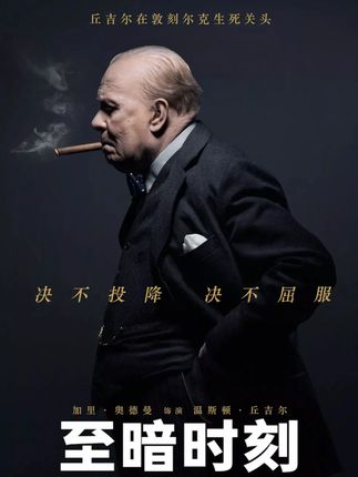 法国投降后,英国内部有多绝望? #至暗时刻 #丘吉尔 #张伯伦 #绥靖政策 #历史电影