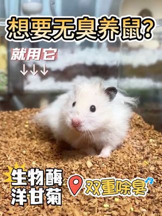 十几块买的核桃砂可以夸一辈子!除臭力一绝 你要是问我养鼠怕臭怎么办?那就直接用它! #仓鼠核桃砂 #核桃砂垫料 #核桃砂 #仓鼠垫料推荐