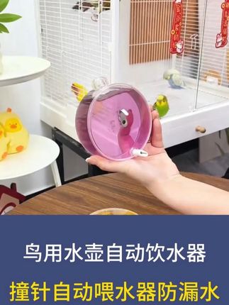 鹦鹉喝水老是弄得脏兮兮的,这个撞针水盒就很不错,不污染水质鹦鹉还很喜欢#鹦鹉水盒  #鹦鹉  #鹦鹉日常