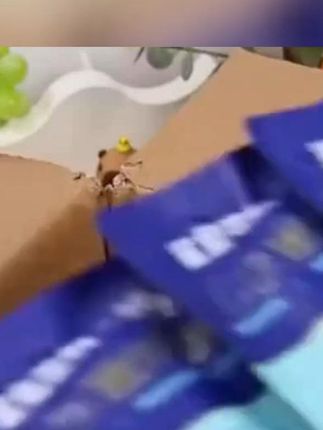 鲨鱼菲特鸡胸肉自律人大礼包即食轻食代餐健身代餐鸡胸肉解馋零食