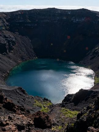 #上海醉鸡 #蒋凤记 #吃了还想吃 #好吃推荐