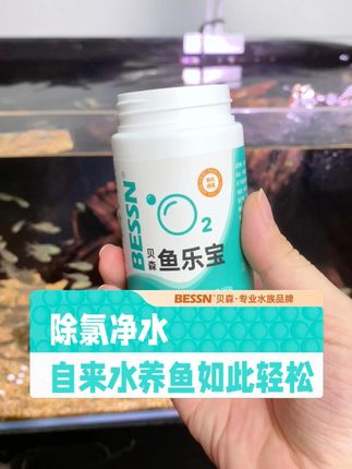 都说自来水不能养鱼,我偏用 #新手养鱼 #观赏鱼 #养鱼日记 #养鱼经验分享 #鱼乐宝