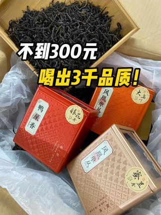 不到300元喝出3千品质❗ ️潮汕老茶客强推 #召唤茶友 #潮汕 #老茶客 #喝好茶 #茶
