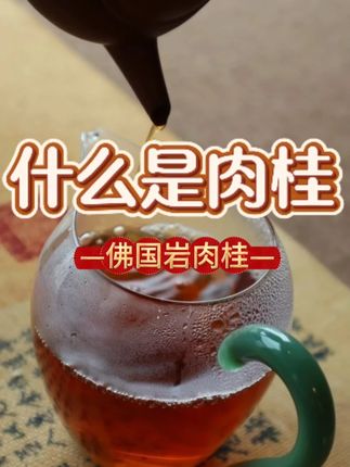 肉桂属于什么茶?什么是肉桂? #武夷岩茶 #肉桂 #乌龙茶 #岩茶 #武夷山 @长灏说茶(天津) @长灏和紫棋的茶叶铺