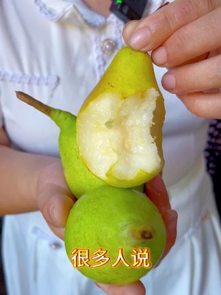 烟台香蕉梨 烟台头茬香蕉梨,初尝脆甜,放软绵密,核小肉多。吃着有香蕉的甜润,又有梨的清爽。刚摘的脆,放几天变软,老人小孩都能吃,汁水还特别多,没吃过的赶紧试试!#优质农产品 #软糯香甜 #现摘水果 #应季水果 #烟台香蕉梨