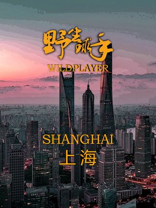 三年了 野生球手重启第一站上海,下一站去哪里?打在评论区(想看我跟谁打)#教你如何小打大#在拍一种很新的vlog #vlog