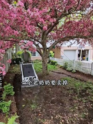 天机可露,世事能明。字里行间,句透人生,书中竟自有黄金屋,书中自有颜如玉。#名言警句 #为人处事 #人情世故 8