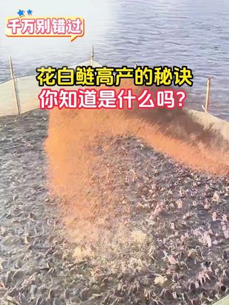 #水产技术 #肥水管理 #肥水小妙招