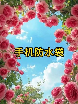 夏天准备出去玩的宝子们,提前安排好#手机防水袋
