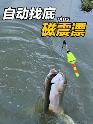 路亚滑漂钓法用这款浮漂,再也不用频繁找底调漂了! #钓鱼 #钓鱼人 #爱生活爱钓鱼 #路亚