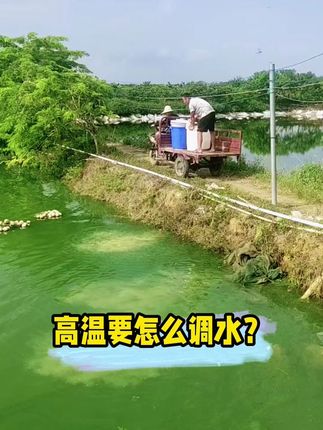 高温要怎么调水,不懂的看过来 #水产养殖 #鱼虾蟹养殖 #四大家鱼养殖 #水产人 #好物推荐