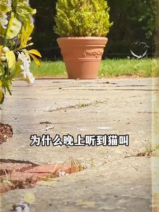 大语文时代,语文考试知识面非常灵活,一定要帮孩子多积累这些课外常识#家庭教育 #百科知识 #文学常识 #智慧父母 #智慧人生