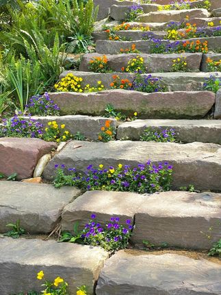 #热点 #磷虾肉 #好东西一起分享 #夏季必备