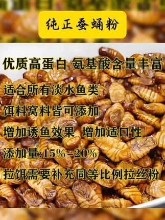 纯正蚕蛹粉,黑坑通杀鲫鲤鳊等鱼,是超实用的饵料添加剂 #蚕蛹粉 #饵料 #黑坑添加剂 #通用鱼饵料 #好物推荐 纯正蚕蛹粉黑坑鲫鲤青草鳊翘嘴黄尾黄辣丁通用鱼饵料添加剂