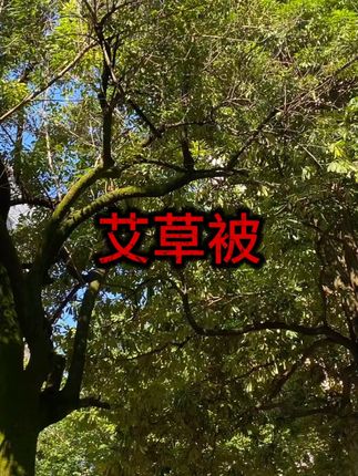 【保暖被】 #秋冬床品 #学生宿舍 #抗菌被芯