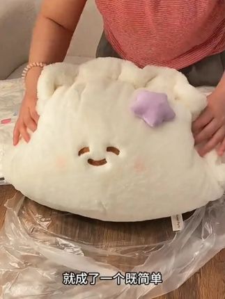 第一个把饺子和教资串起来的简直就是天才! #饺子抱枕#教资考试#艾特你想艾特的人