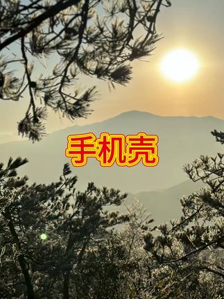 禁止焦绿适用于苹果/华为/vivo/oppo/小米手机壳金属漆玻璃壳女款  #手机壳  #手机壳推荐  #这个手机壳真的长在我心巴上了