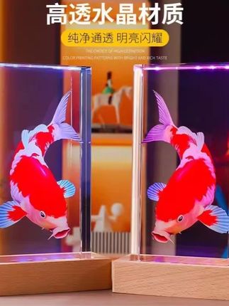 水晶锦鲤家居摆件3D内雕水晶方体底座适合玄关客厅酒柜等场所装饰#水晶摆件 #锦鲤摆件 #家居艺术品 #水晶鱼 #家居好物